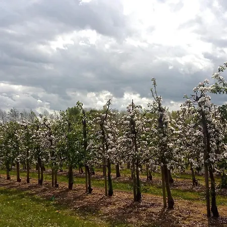 8 Person In Brenderup Fyn-by Traum Casa vacanze