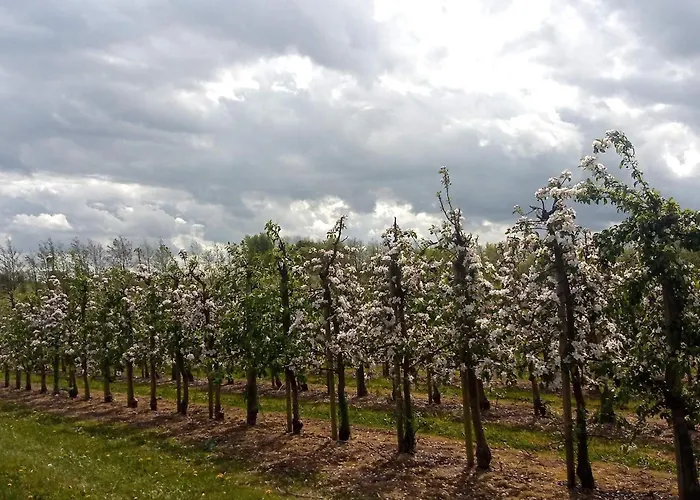 8 Person In Brenderup Fyn-by Traum Casa vacanze